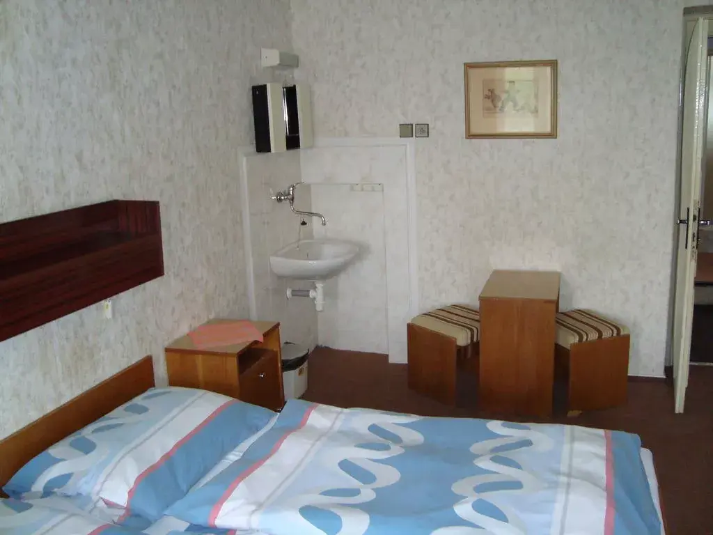 Photo 3 of Pension Protěž